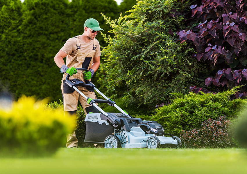 Halton Hills Landscaping Lawn & Garden Maintenance