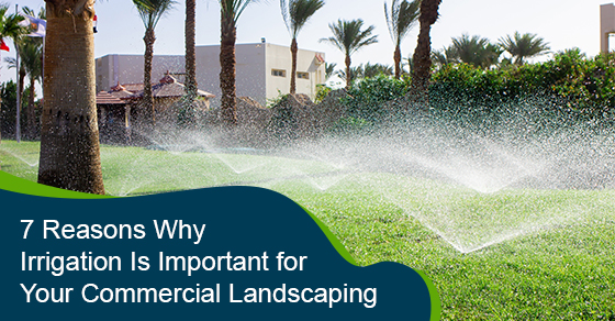Why is irrigation important for your commercial landscaping?