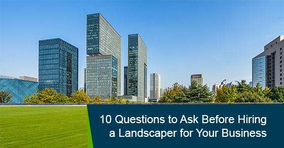 10 Questions to Ask Before Hiring a Landscaper for Your Business