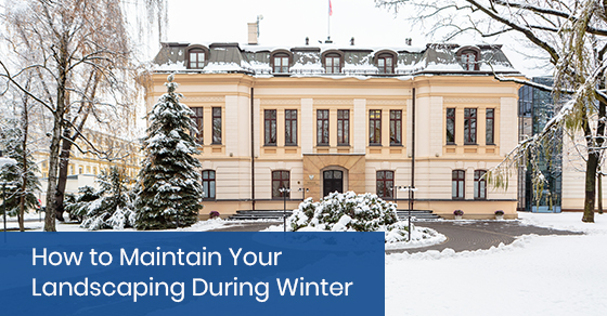 How to maintain your landscaping during winter