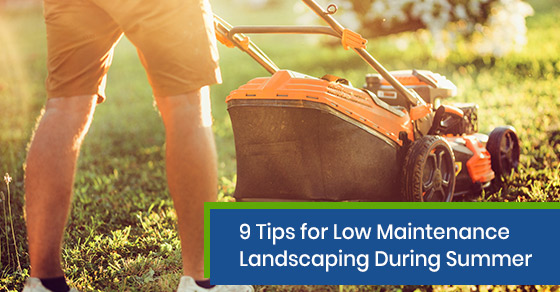 Low maintenance landscaping tips