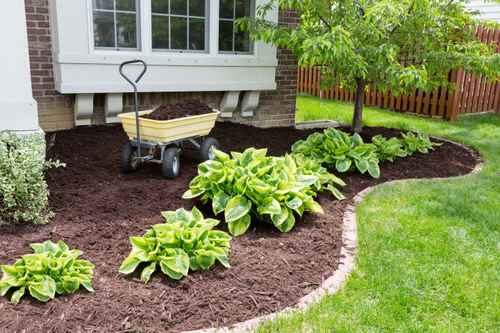 Garden maintenance in spring doing the mulching