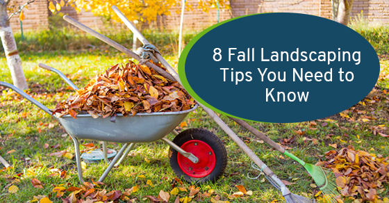 Fall landscaping tips