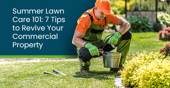 Summer lawn care 101: 7 tips to revive your commercial property