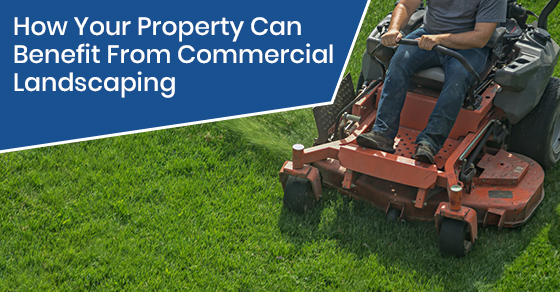 How Your Property Can Benefit From Commercial Landscaping