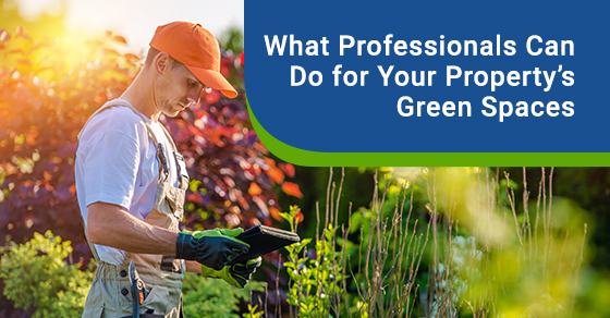 Importance of professional landscaping services