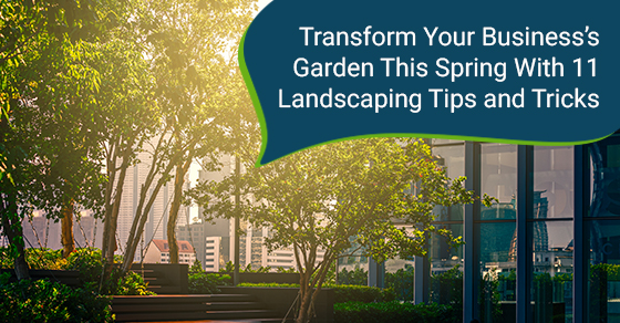 Transform your business’s garden this spring with 11 landscaping tips and tricks