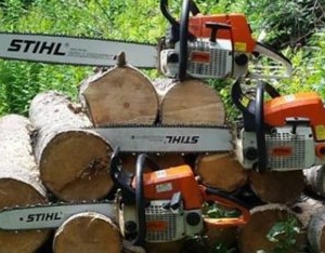 Gasoline Chain Saws