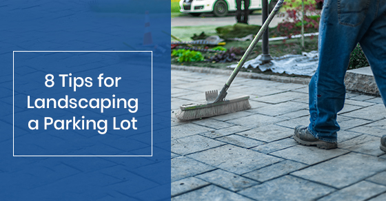 8 Tips for Landscaping a Parking Lot