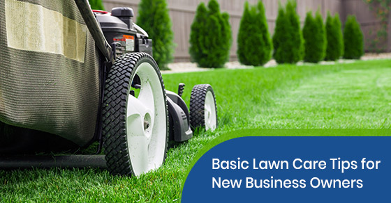 Basic lawn care tips
