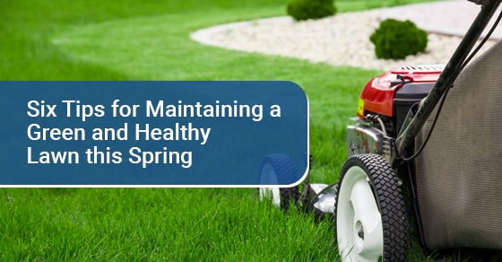 Tips for maintaining lawn in spring