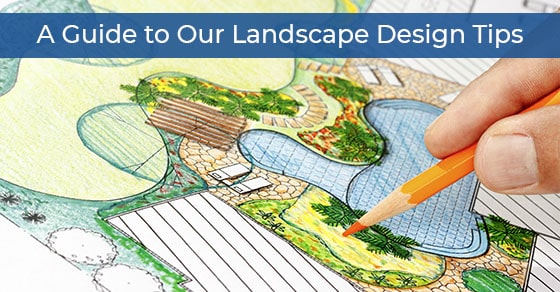 A Guide to Our Landscape Design Tips